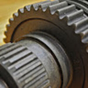 Meet your Posher, Nicholas